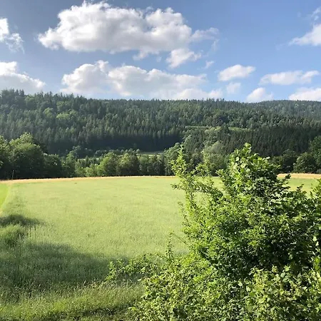 Ferienwohnung Waldblick Lejlighed *